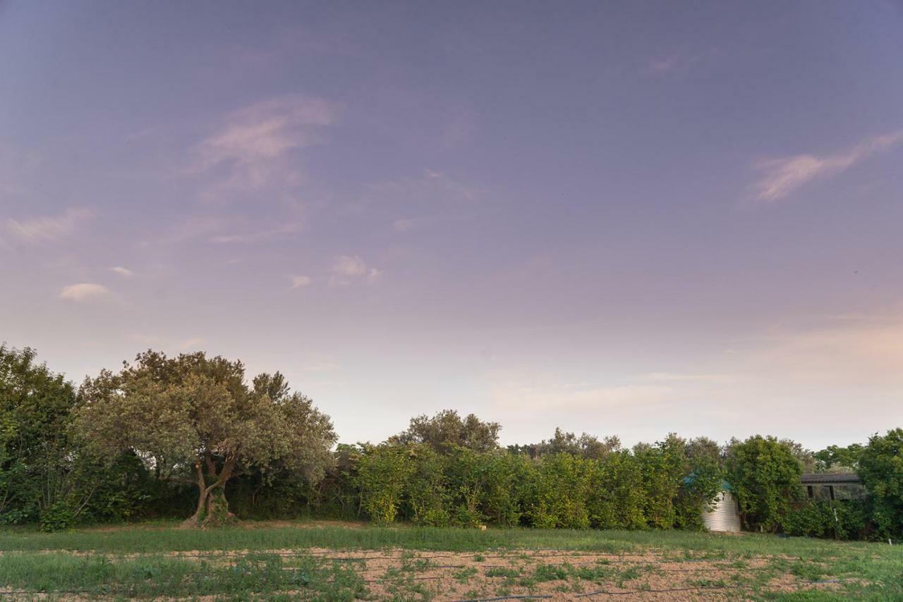 Can Gual Guest House Lametlla Del Valles Exterior foto